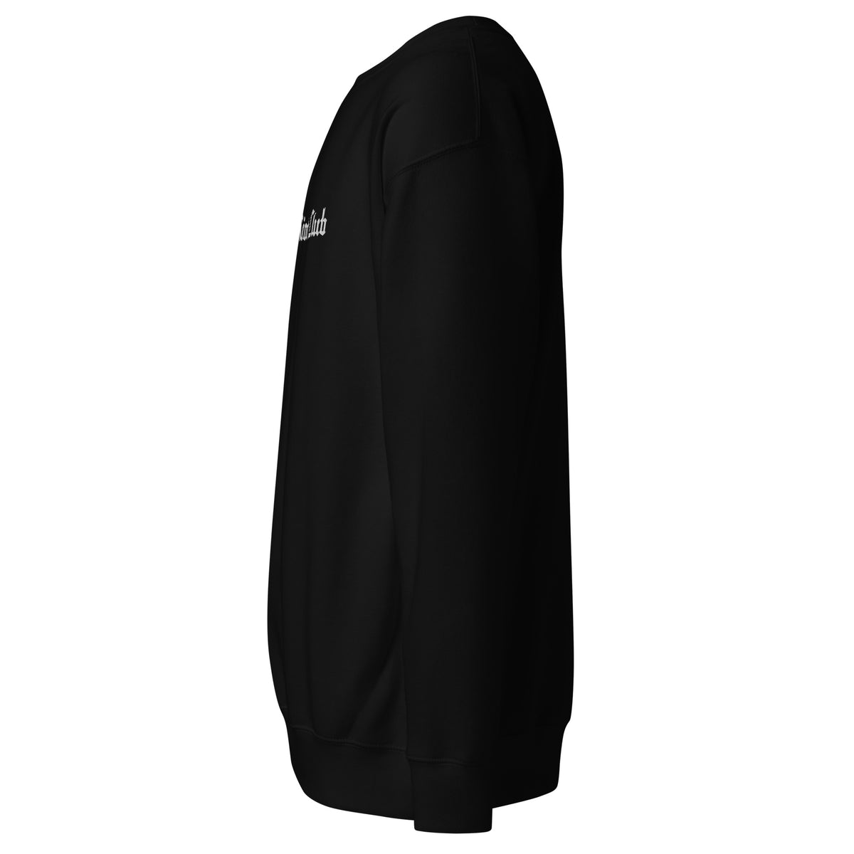 "Left profile of the 8.5oz heavyweight crewneck hardware. Highlights the dropped shoulder build and side-seam construction for a modern streetwear fit."